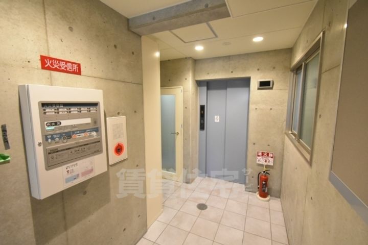 バウムのその他画像