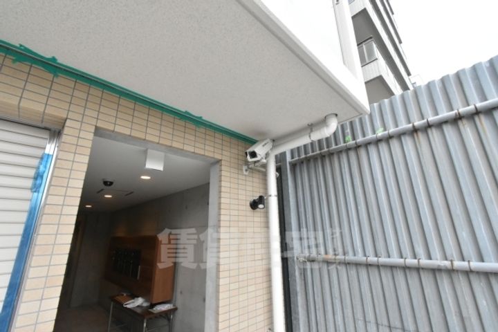 バウムのその他画像