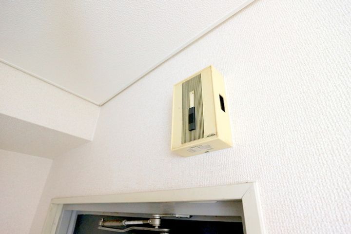 シャイニング桃山のその他画像