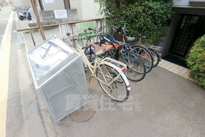 シャイニング桃山のその他画像