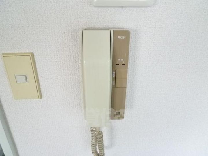 ドエルツクマのその他画像