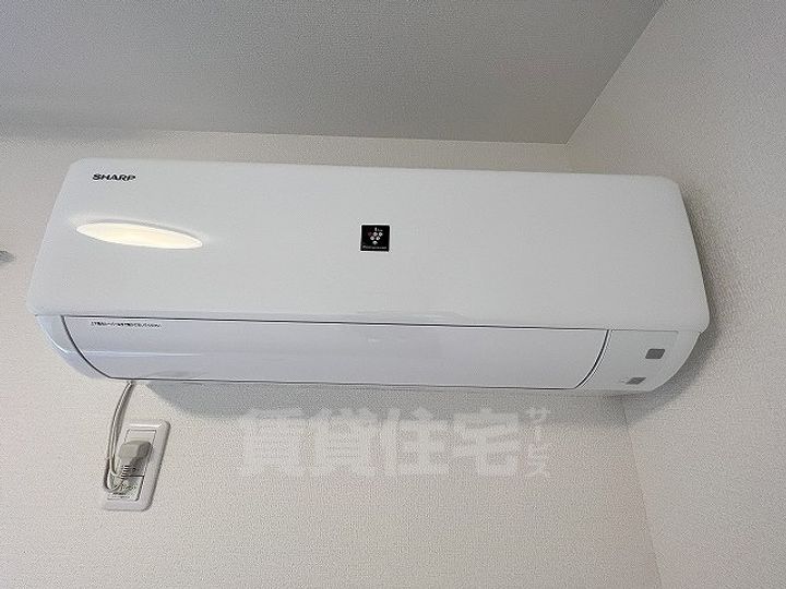 Elegrantiaのその他画像