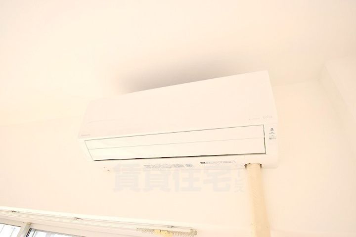 ゆめのこーぽのその他画像