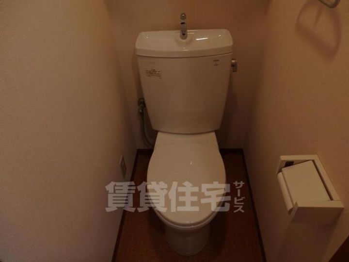 滋賀県草津市東矢倉2丁目の賃貸マンションの内装