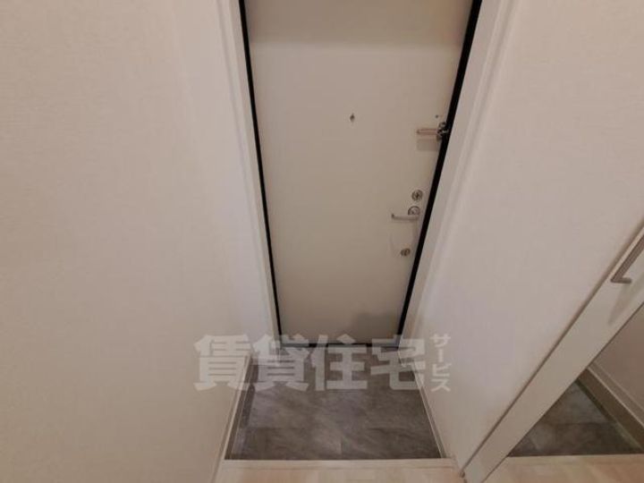 大阪府豊中市豊南町南1丁目の賃貸マンションの玄関