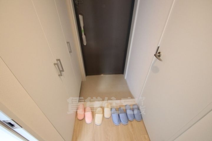 大阪府堺市堺区竜神橋町1丁の賃貸マンションの玄関