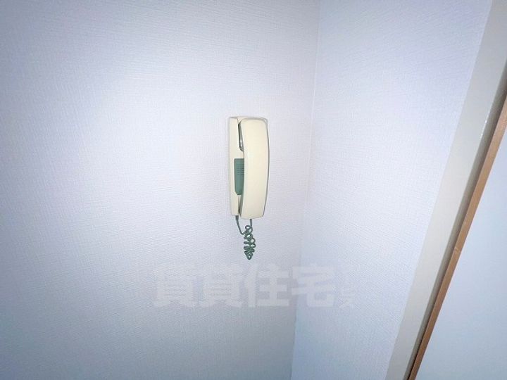 ルネ・アルマーニのその他画像
