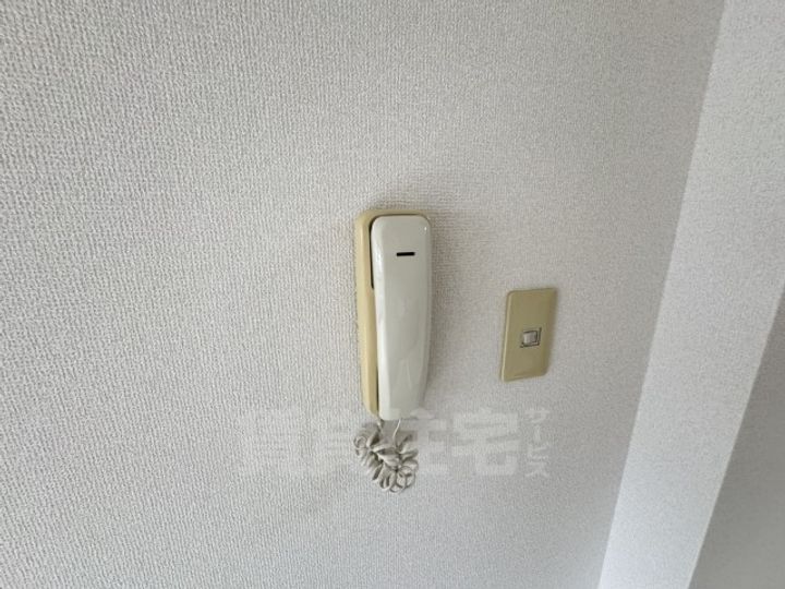 ルピナスのその他画像