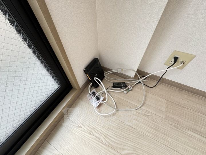 ルピナスのその他画像