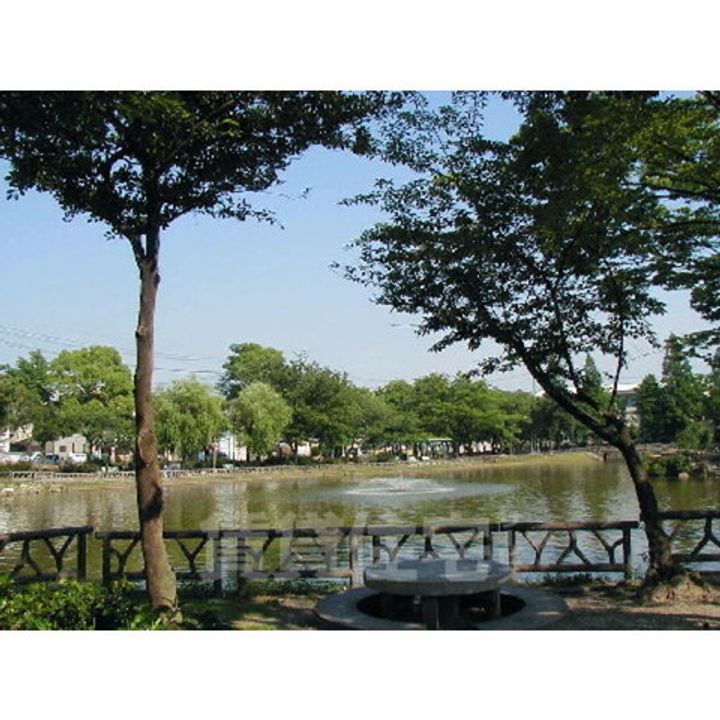 コーポ美芳の周辺