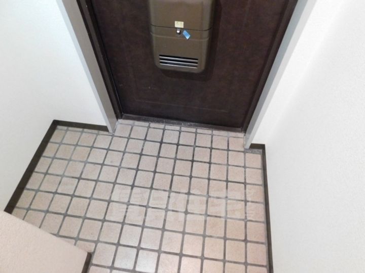 大阪府大阪市住吉区我孫子東2丁目の賃貸マンションの玄関