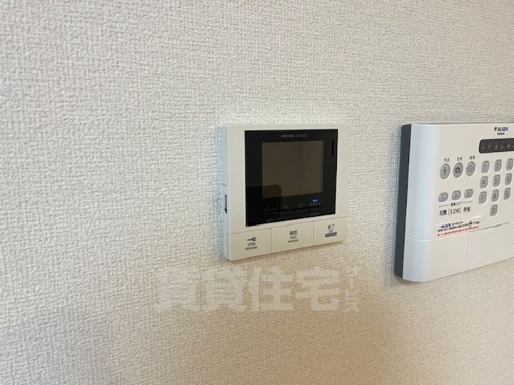 ヴェラ ブランカのその他画像