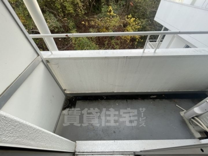 パラディッソコートのその他画像