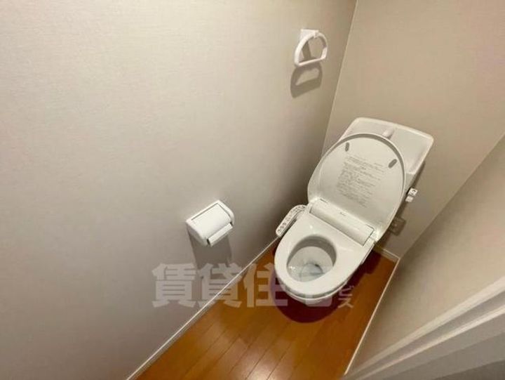 大阪府豊中市服部南町5丁目の賃貸マンションの内装