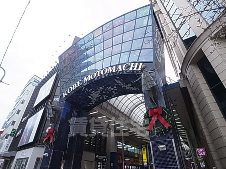 パンブロス5221のその他画像