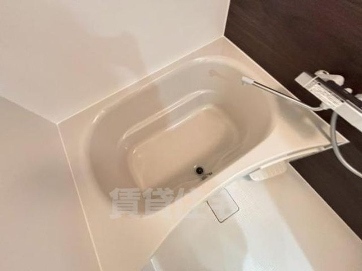 大阪府豊中市宝山町の賃貸マンションの風呂