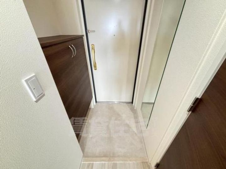 大阪府豊中市宝山町の賃貸マンションの玄関