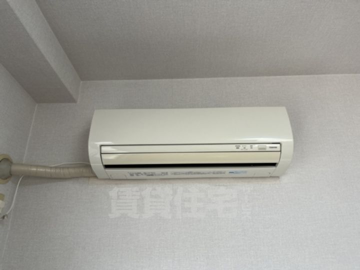 パールエッグクノキのその他画像