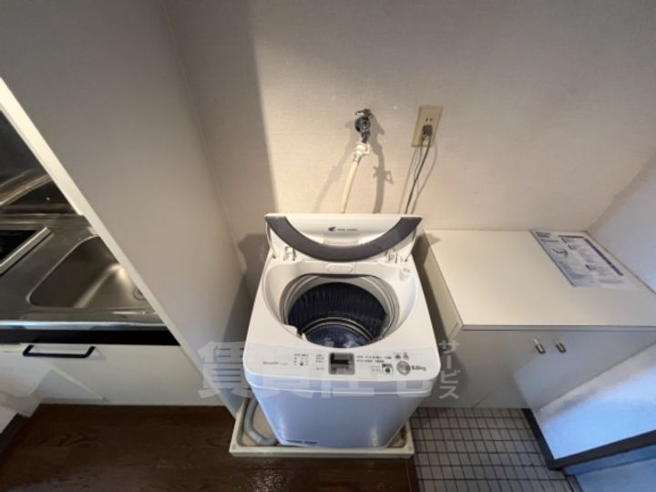 パールエッグクノキのその他画像