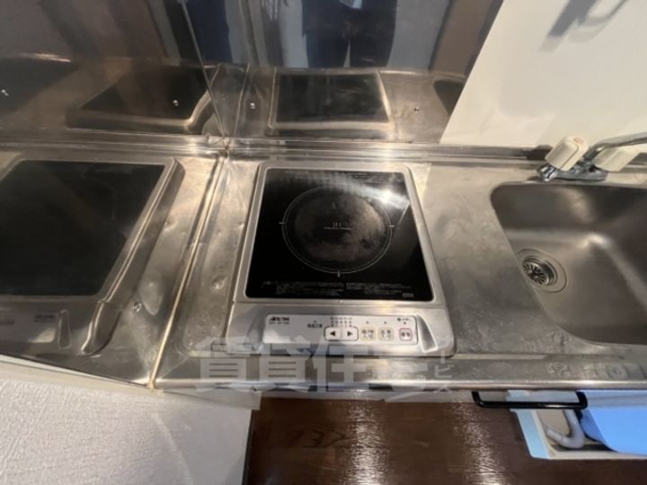 パールエッグクノキのその他画像