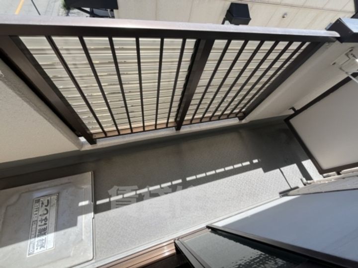 パールエッグクノキのその他画像