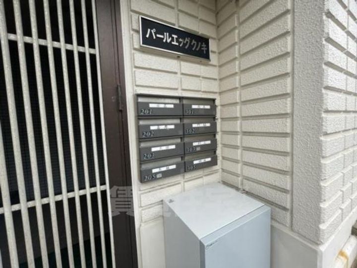 パールエッグクノキのその他画像