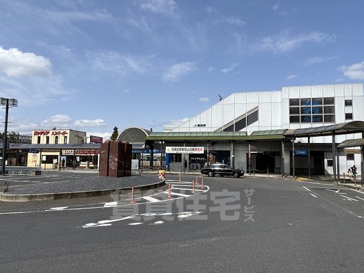 サニーサイド・レオのその他画像