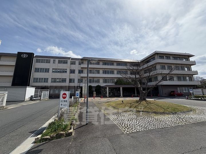 サニーサイド・レオのその他画像