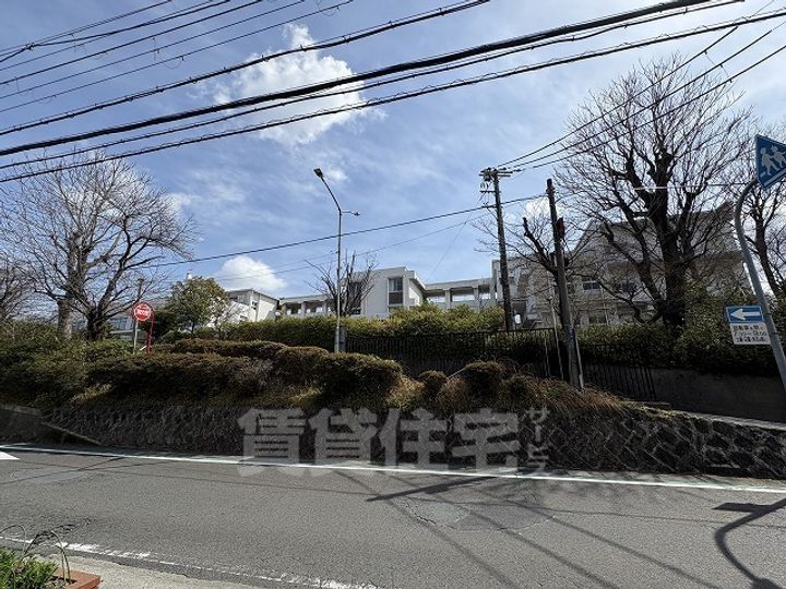 サニーサイド・レオのその他画像