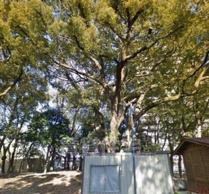 リバーストーム白鳥の周辺