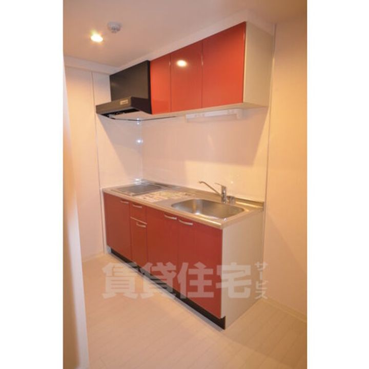 リバーストーム白鳥のキッチン