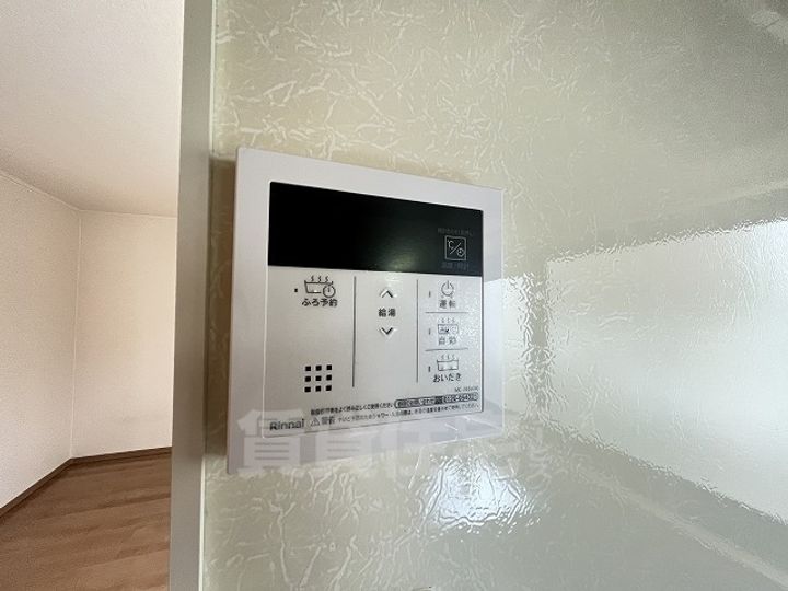 ボナール柳のその他画像