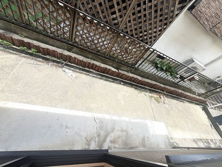 ボナール柳のその他画像