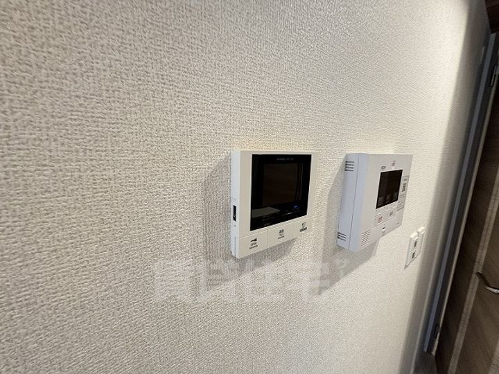 カリーノディモーラのその他画像