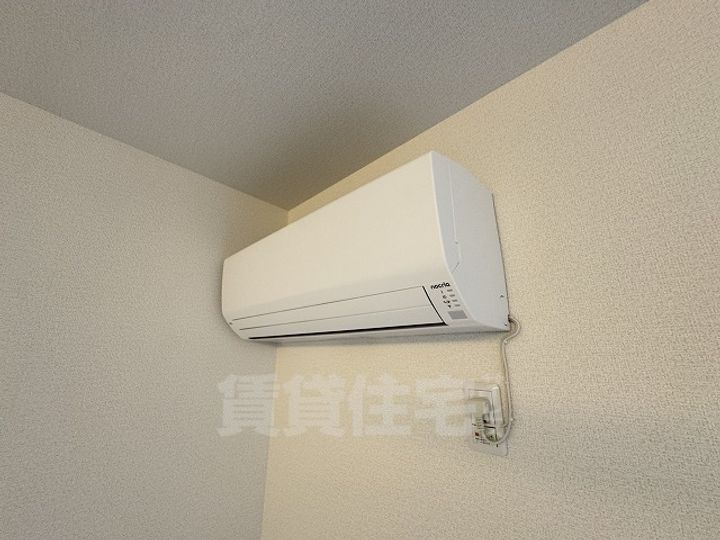 カリーノディモーラのその他画像