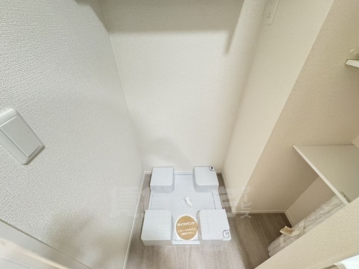 カリーノディモーラのその他画像