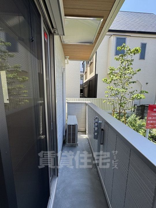 カリーノディモーラのその他画像