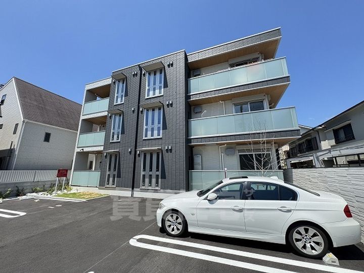 カリーノディモーラの外観