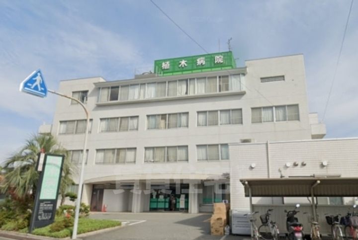 ハイネス・センターコートの周辺