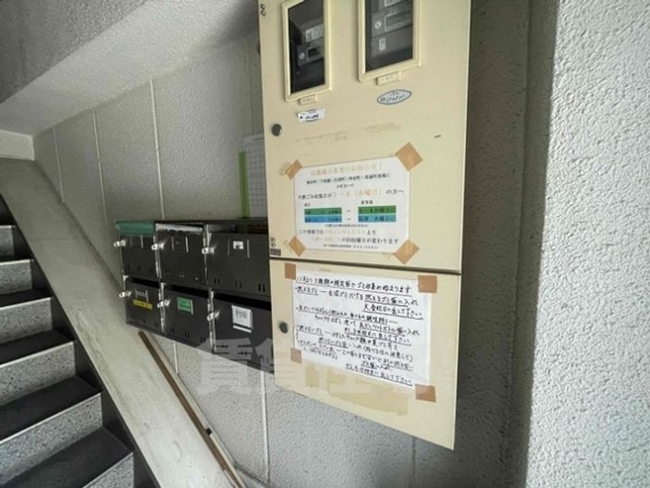 パル平野のその他画像