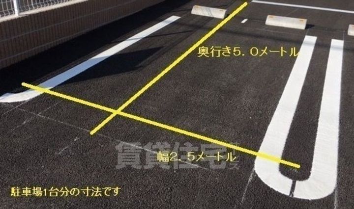ベル ツリーのその他画像