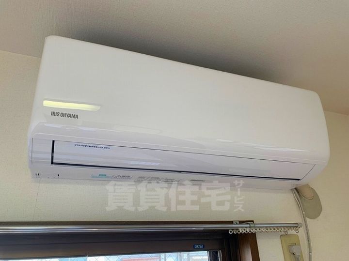 Vivaceのその他画像