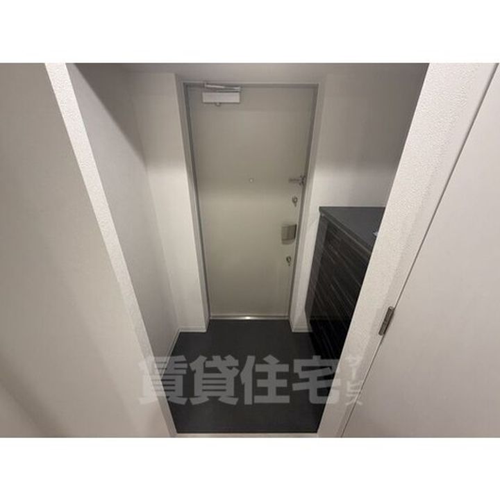 大阪府堺市堺区甲斐町東1丁の賃貸マンションの玄関