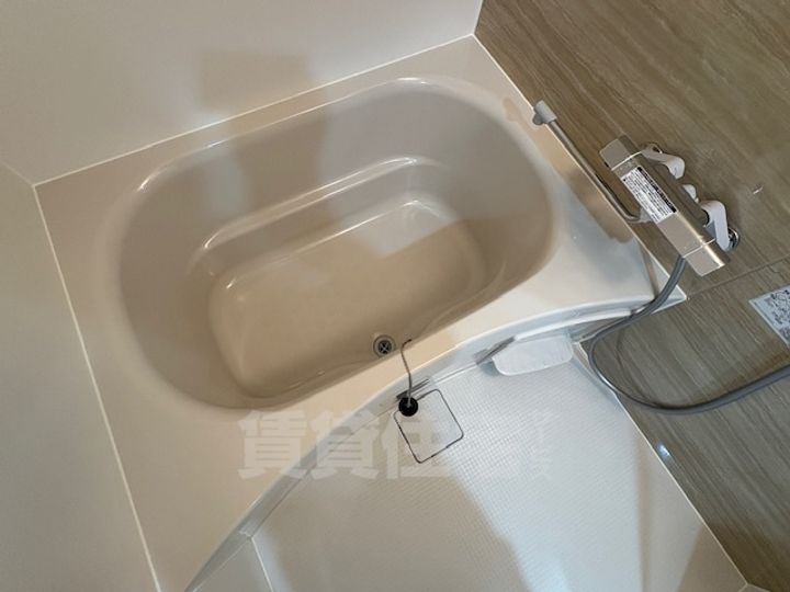 大阪府堺市堺区甲斐町東1丁の賃貸マンションの風呂