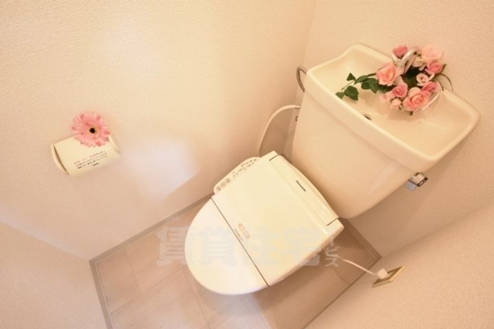 大阪府堺市南区和田東の賃貸アパートの内装