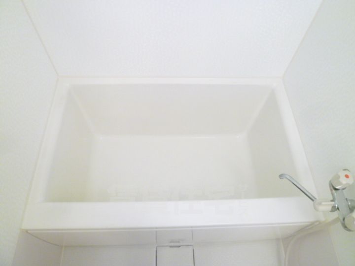 大阪府堺市中区深井東町の賃貸マンションの風呂