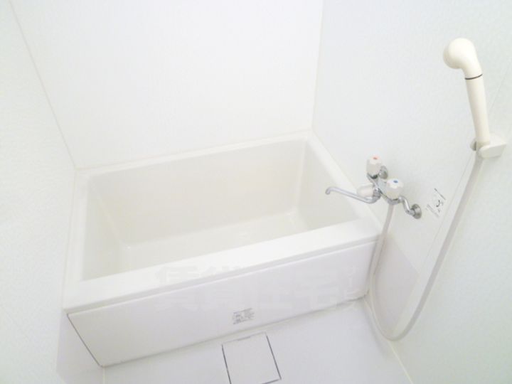 大阪府堺市中区深井東町の賃貸マンションの風呂