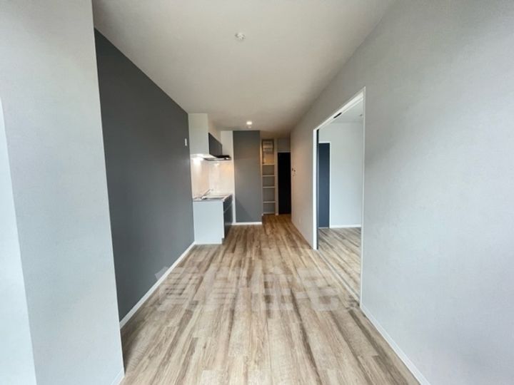 大阪府堺市中区深井清水町の賃貸マンションの内装