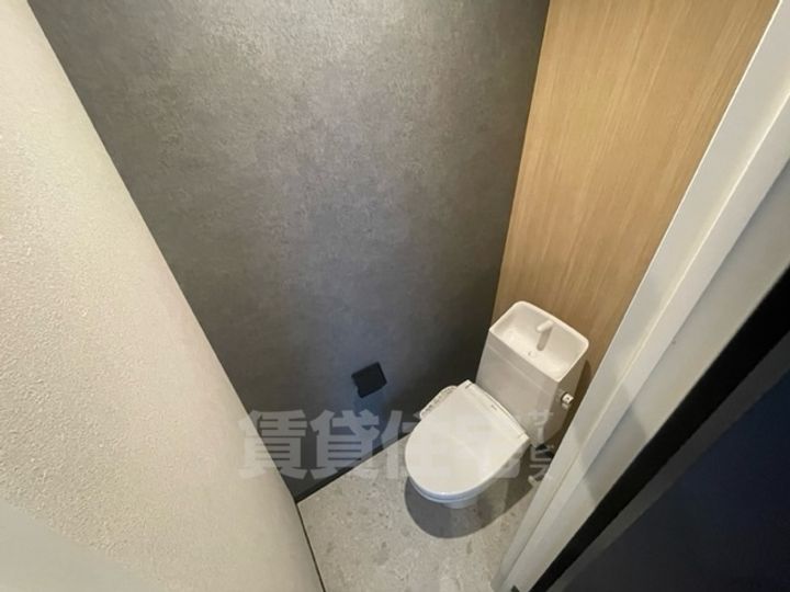 大阪府堺市中区深井清水町の賃貸マンションの内装