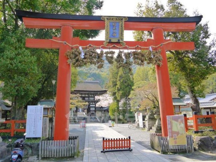 セジュール桂坂103の周辺